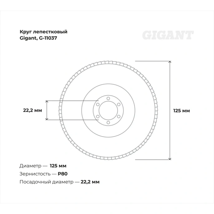 Круг лепестковый (125x22.2 мм; P80) Gigant G-11037
