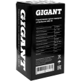 Портативное пуско-зарядное устройство Gigant 10000 mAh GSD-10