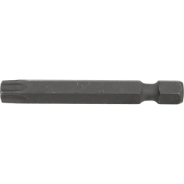 Бита T40x50 мм IZELTAS 4830210140