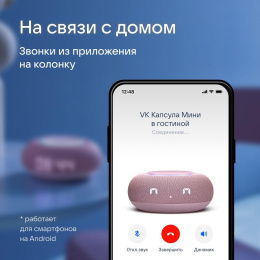 Умная колонка VK Капсула Мини Маруся розовый 5W 1.0 BT 12м MRC02PI