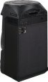 Музыкальный центр Sony MHC-V13, с караоке, Bluetooth, FM, USB, CD, черный