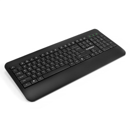 Клавиатура ExeGate Professional Standard LY-E5500M USB, мультимедийная полноразмерная, влагозащищенная, 104кл., Enter большой, подставка под запястья, длина кабеля 1,35м, черная, Color Box EX296922RUS