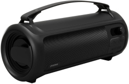 Колонка портативная Digma D-PS1523, 25Вт, черный [sp1523b]