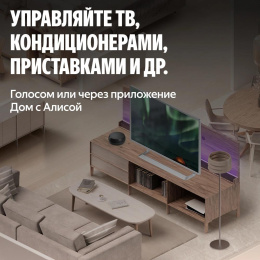 Умный пульт ЯНДЕКС YNDX-00572, р.д.20м, черный