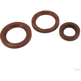 РК КПП Riginal для а/м КАМАЗ, сальники, 3 шт. RG14-1701000