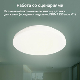 Умный светильник Digma TopLight TL25 потолочный