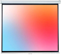 Экран Lumien 67" 120x120см Eco Picture LEP-100131 1:1 настенно-потолочный рулонный белый
