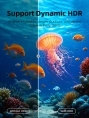 Кабель CABLETIME CH14L (CT-SHD8K-AG2) 2 м, 8K SLIM HDMI 2.1, позолоченный, 8K/60 Гц, черный