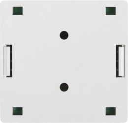 Розетка Lanmaster (TWT-SM2-4545-WH)RJ45 2 кат.5E бел. (упак.:1шт)