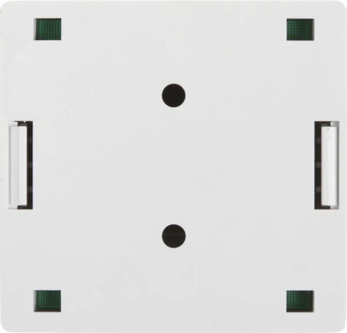 Розетка Lanmaster (TWT-SM2-4545-WH)RJ45 2 кат.5E бел. (упак.:1шт)