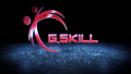 G.SKILL