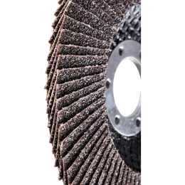 Круг лепестковый (125х22,2 мм; P60) Inforce 11-01-039