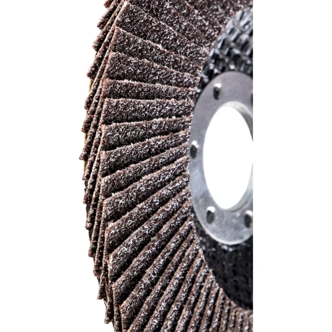 Круг лепестковый (125х22,2 мм; P60) Inforce 11-01-039