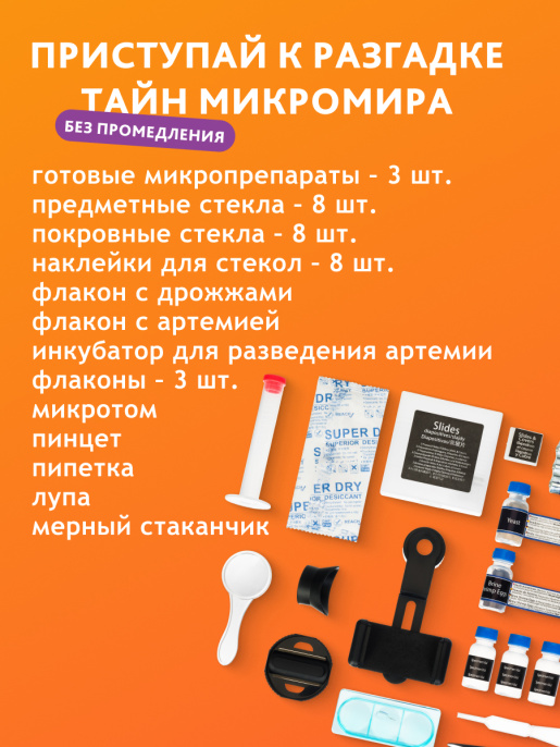 Микроскоп Bresser Junior 40x-640x, фиолетовый