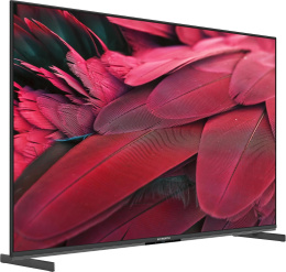 Телевизор ЖК 55" Skyworth, Ultra HD, Mini LED, Matte Screen, 400Nit, Local Dimming Zone 112, Google TV, DVB-T2/C/S2, 2.1.2ch Sound 30W + 20W SUB Dolby Atmos, 180° звуковое поле, 120Hz, Freesync Premium AMD , Karaoke Mode, 3 HDMI, 2 USB, Digital Au (5