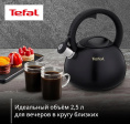Чайник металлический Tefal Intuition N4180417 2.5л. черный 3110601825