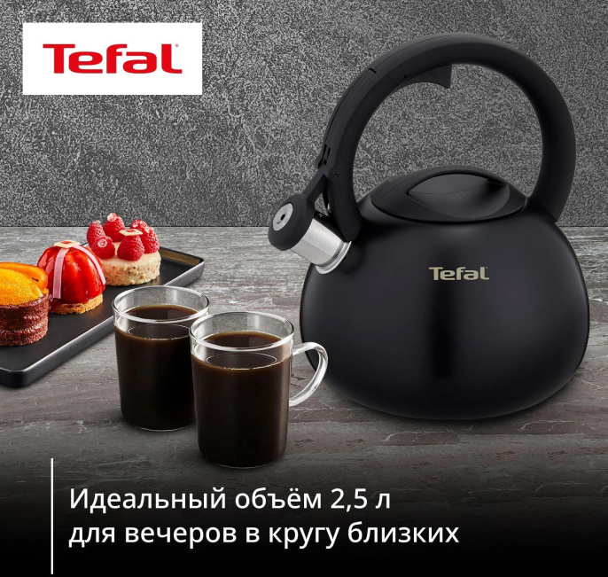 Чайник металлический Tefal Intuition N4180417 2.5л. черный 3110601825