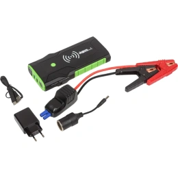 Устройство пуска, заряда, питания и освещения BVITECH BS-09QDS/QDSP/12 BS916