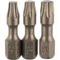 Набор бит Torx №3 (3 шт; 25 мм; Т20/Т25/Т30) Quadro Torsion 490003