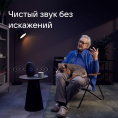 Умная колонка VK Капсула 30Вт, с Марусей, черный [mrc01bl]