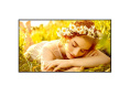 Профессиональный дисплей Профессиональный дисплей LG 43UL5Q-M: UHD; 24/7; 500 кд/м2; Коэффициент матовости экрана 1%; ОС webOS 6.1; Wi-Fi; Динамики 10+10 Вт; Режим видео-стены; 965 X 554.9 X 59.1 мм; 7,6кг