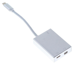 Адаптер Buro USB Type-C m - miniDisplayPort f , 0.1м, серебристый [bhp]