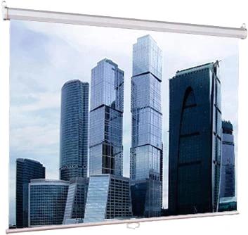 Экран Lumien 67" 120x120см Eco Picture LEP-100131 1:1 настенно-потолочный рулонный белый