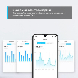 Умная розетка TP-LINK TAPO P110,  EU VDE,  Wi-Fi,  белый