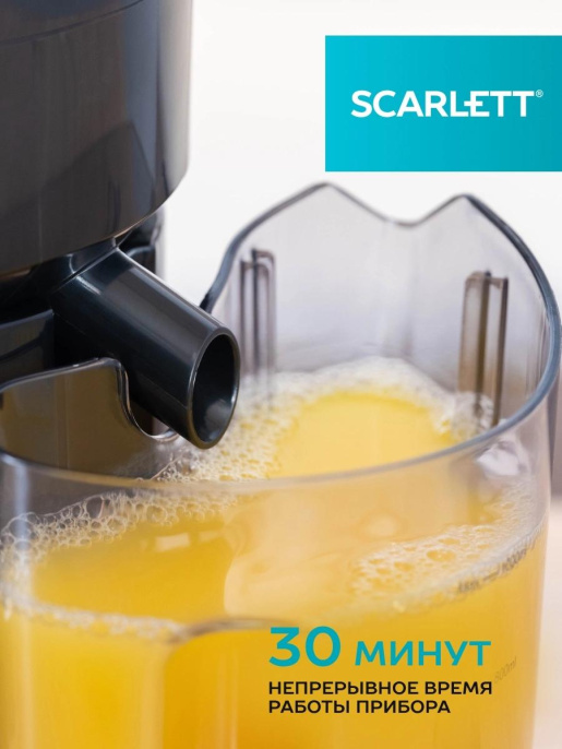 Соковыжималка Scarlett SC-JE50P02, центробежная, черный