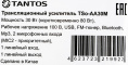 Усилитель TANTOS TSo-AA30M выход100Вт/ 30Вт [00-00025068]