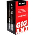 Портативное пуско-зарядное устройство Gigant 10000 mAh GSD-10