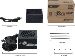Блок питания Seasonic ATX 750W Core V2 GC-750 80+ gold (20+4pin) APFC 120mm fan 2xSATA RTL
