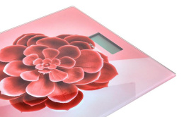 Весы напольные электронные Starwind SSP6041 макс.180кг рисунок