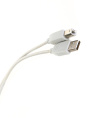 Кабель Telecom USB2.0 A--B 3.0м TC6900-3.0M