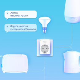 Умная розетка/ Mini Wi-Fi smart plug, 2.4 GHz, Max Load 2300 Вт, 10 А