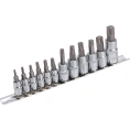 Набор вставок Эврика 1/4 3/8 1/2 торкс T10-T60 12 предметов ER-95070 940511