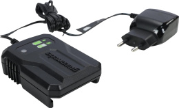 Зарядное устройство Greenworks G40UCM2M 2946507