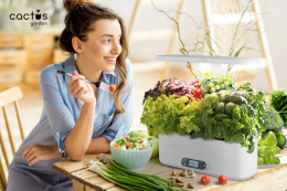 Гидропонная установка Cactus Garden 3л 24 черный (CS-LEDPOT-06)