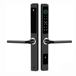 Умный дверной замок roome Waterproof TTLock Digital Fingerprint Aluminum Door Lock A2 Черный 35х85мм, водонепроницаемый, цифровой отпечаток пальца TTLock, материал: алюминий, панель/ручка из нержавеющей стали