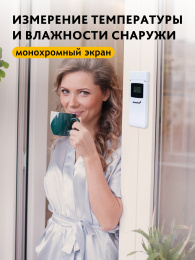 Термометр Levenhuk Wezzer BASE L50