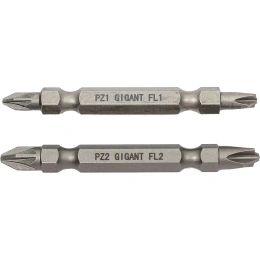 Биты двусторонние комбинированные 2 шт, PZ-FL2, PZ-FL1, 65 мм, S2 Gigant GBS 2C65B