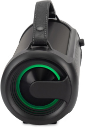 Колонка портативная Digma D-PS1523, 25Вт, черный [sp1523b]