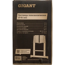 Телескопическая лестница Gigant 3.2м LT-01 1x11