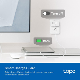 Умная розетка TP-LINK Tapo P110M,  EU,  Wi-Fi,  белый