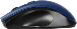 Мышь беспроводная Acer OMR031, радио, оптическая, USB, 1600dpi, черный и синий [zl.mceee.008]