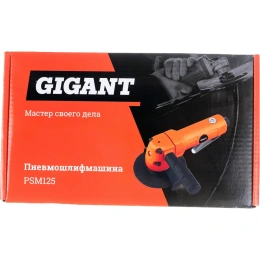 Пневмошлифмашина (диск 125 мм; посадочный 22.2 мм, М10) Gigant PSM125