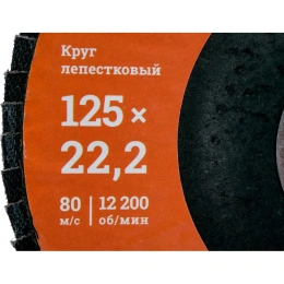 Круг лепестковый (125x22.2 мм; P100) Gigant G-11038