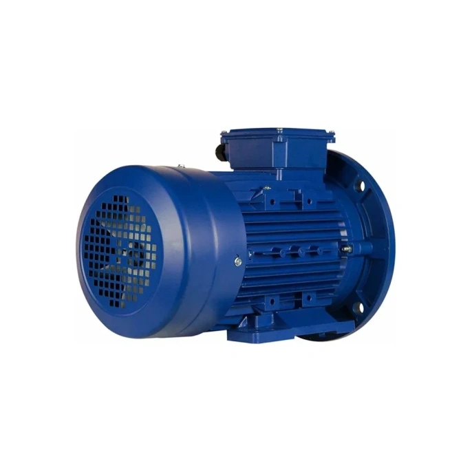 Электродвигатель 5АИ 100 L2 5.5/3000 IM 2081 01.01.213678