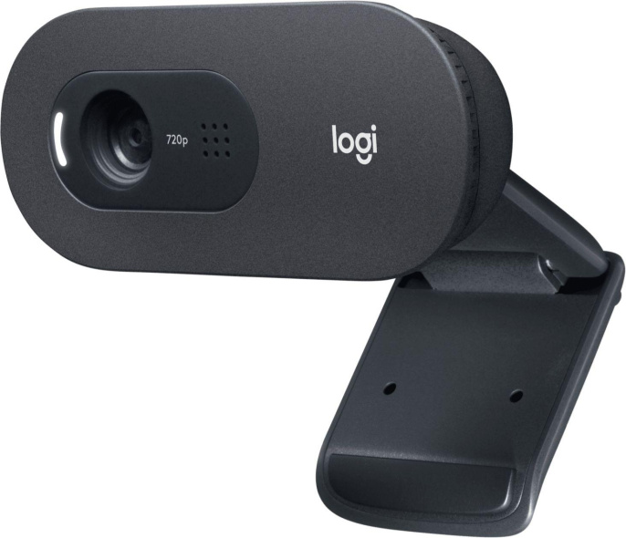 Web-камера Logitech HD Webcam C505e,  черный [960-001373]