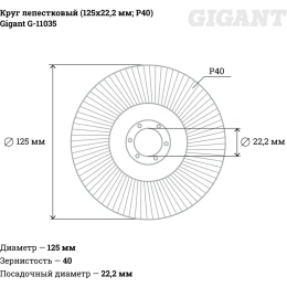 Круг лепестковый 125x22.2 мм; P40 Gigant G-11035